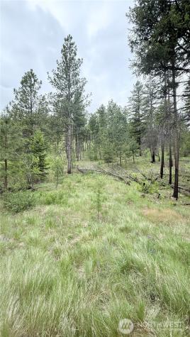 0 Tbd Broken Spoke Road Tonasket WA 98855