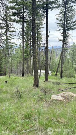 0 Tbd Broken Spoke Road Tonasket WA 98855