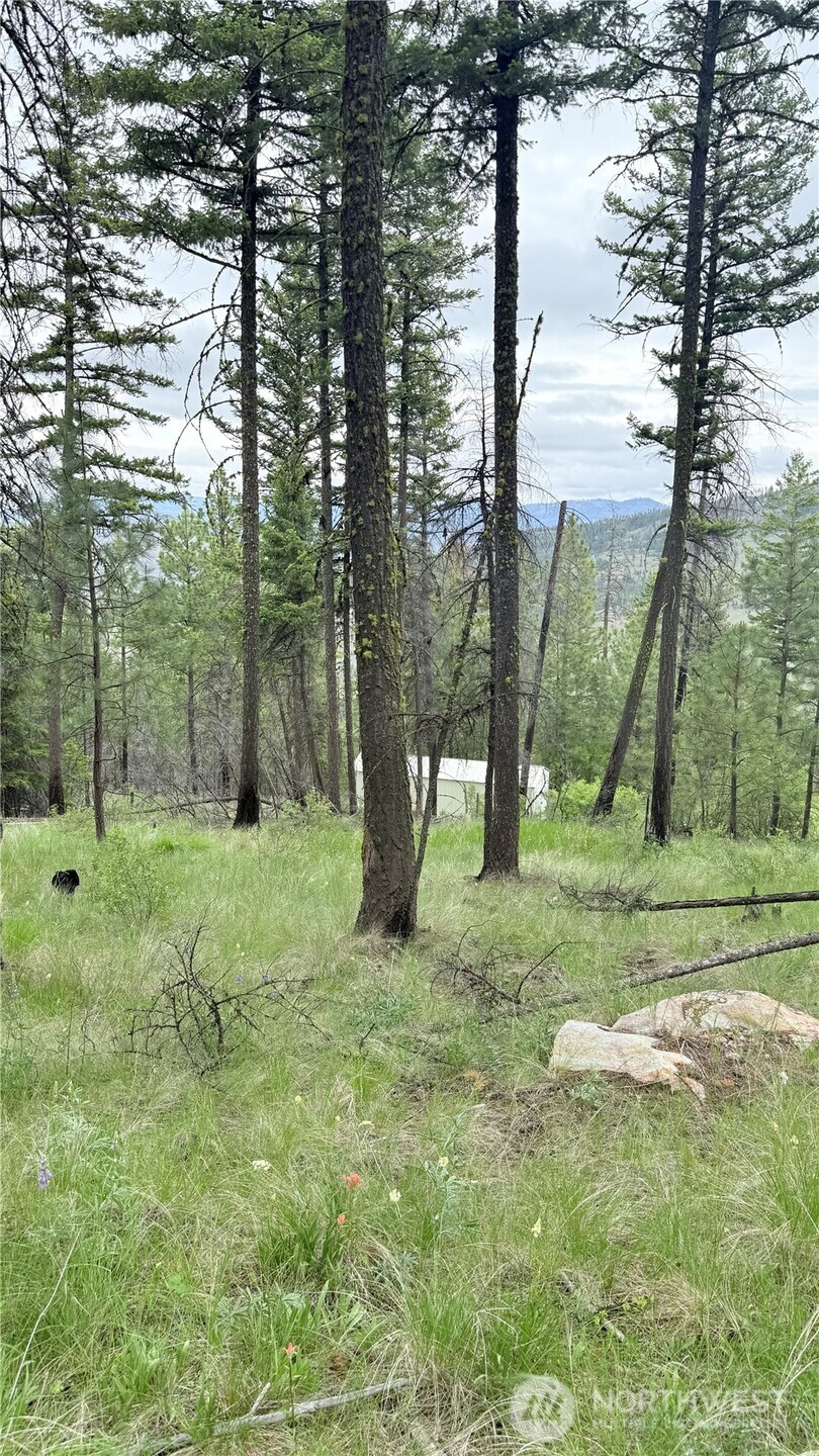 0 Tbd Broken Spoke Road Tonasket WA 98855