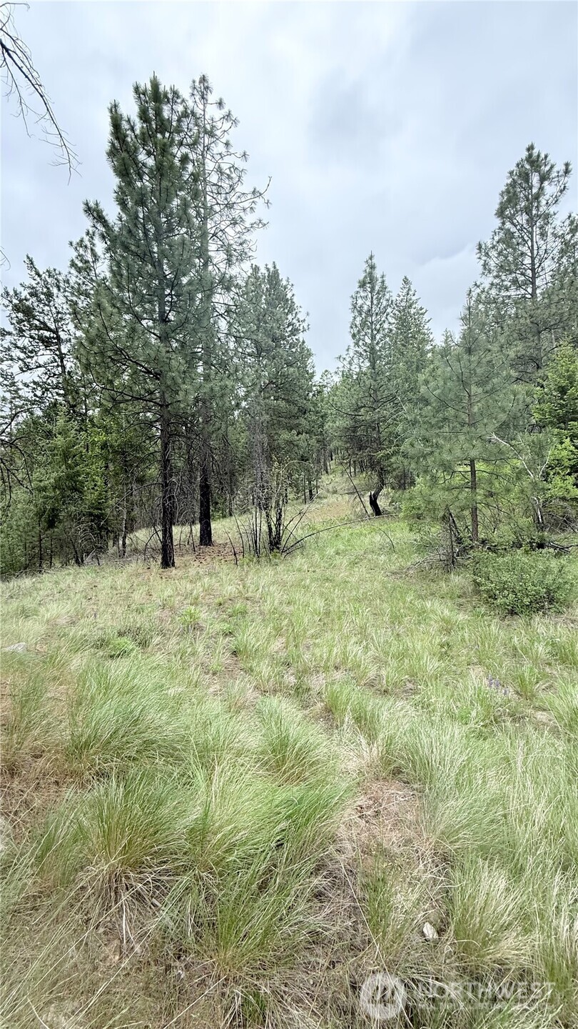 0 Tbd Broken Spoke Road Tonasket WA 98855