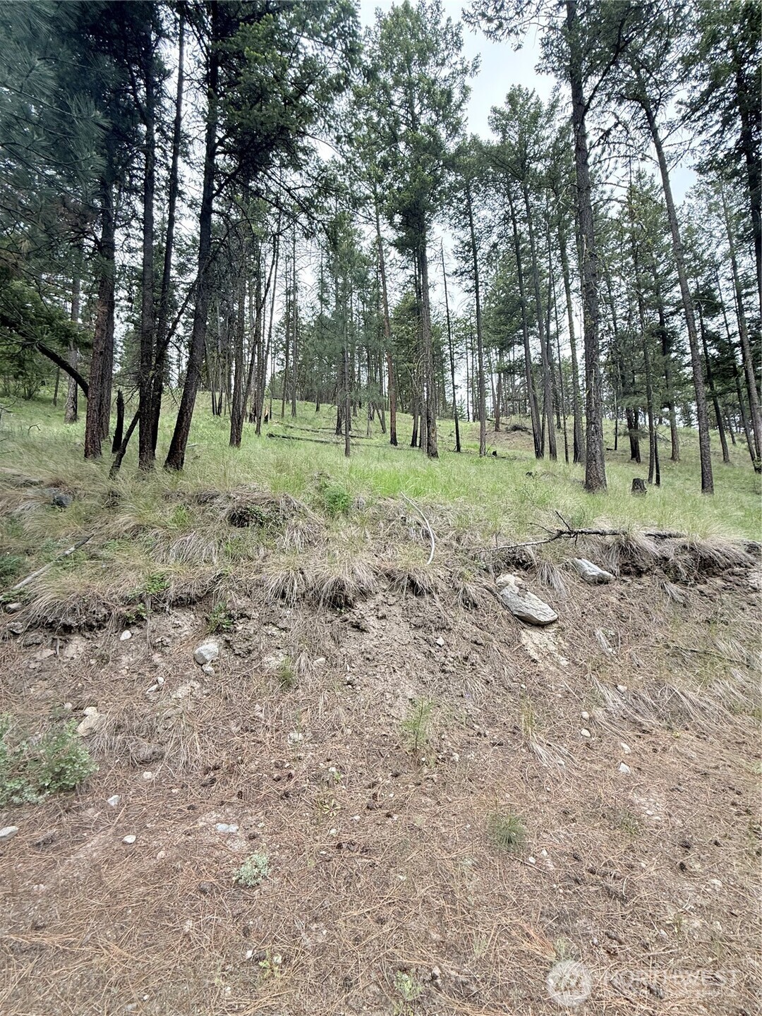 0 Tbd Broken Spoke Road Tonasket WA 98855