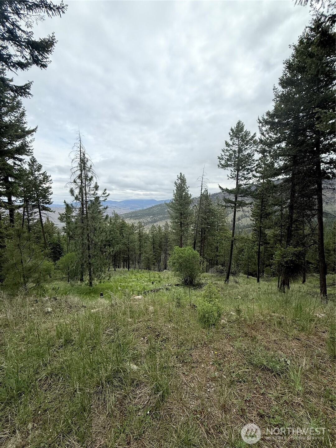 0 Tbd Broken Spoke Road Tonasket WA 98855