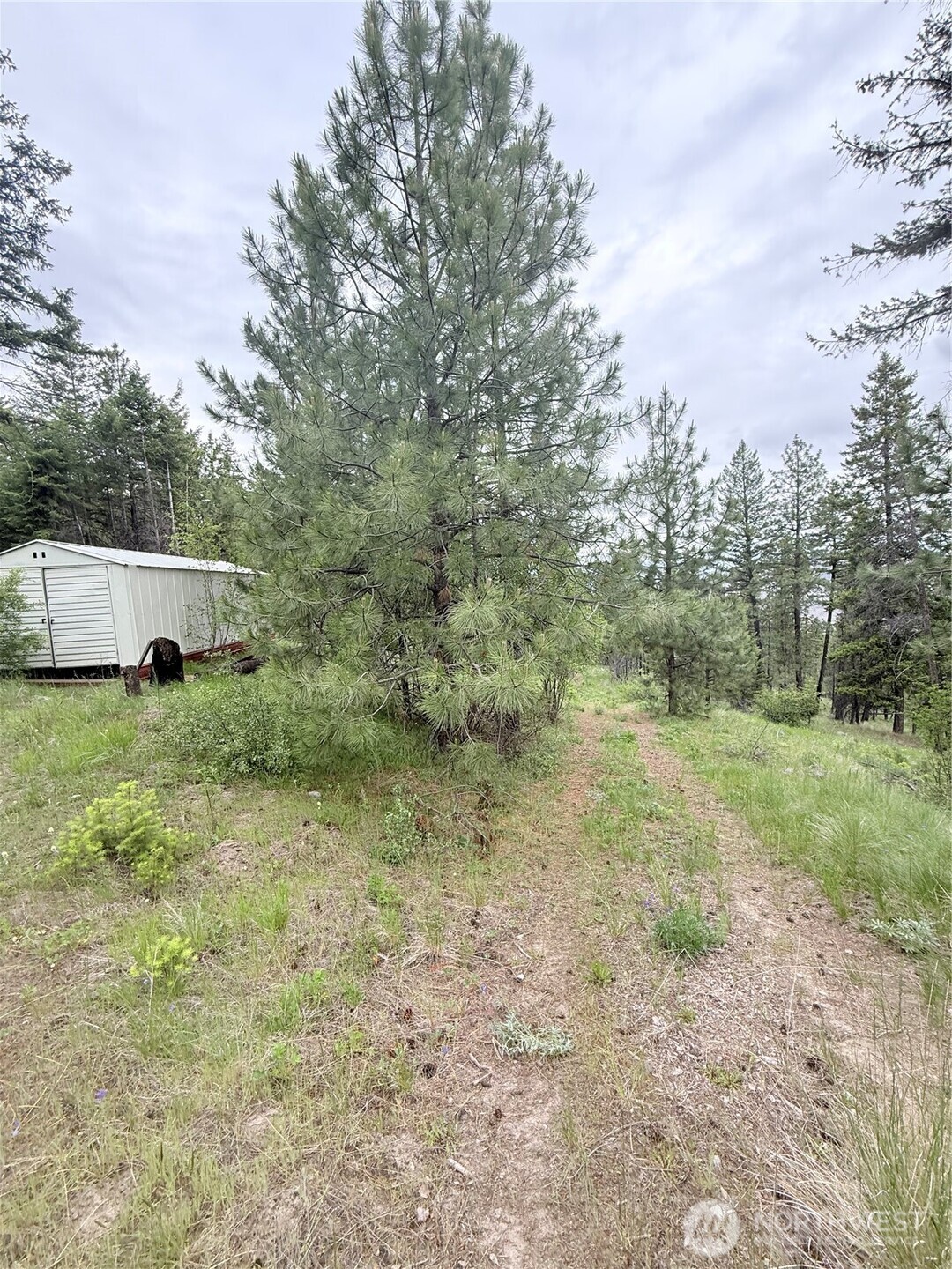 0 Tbd Broken Spoke Road Tonasket WA 98855