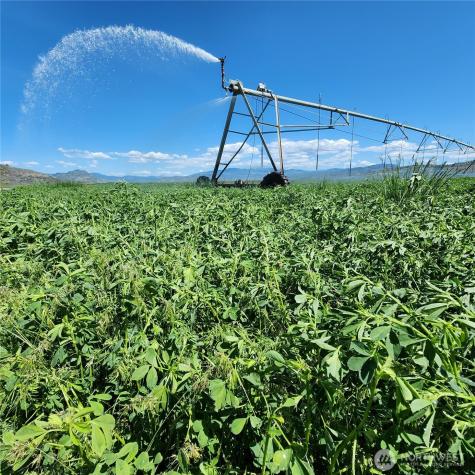 2034 Pine Creek Road Tonasket WA 98855