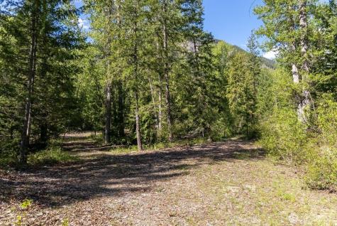 98 Cassel Way Mazama WA 98833