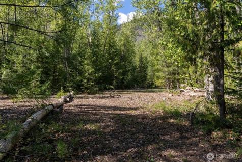 98 Cassel Way Mazama WA 98833