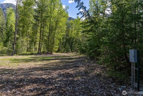98 Cassel Way Mazama WA 98833