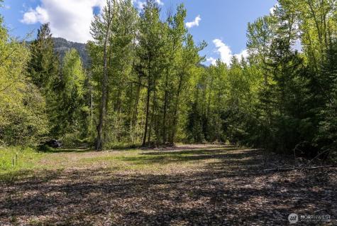 98 Cassel Way Mazama WA 98833