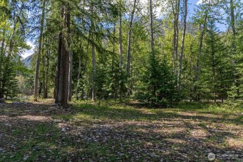 98 Cassel Way Mazama WA 98833
