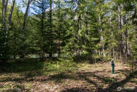 98 Cassel Way Mazama WA 98833
