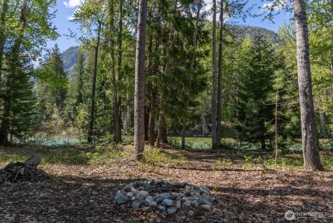 98 Cassel Way Mazama WA 98833