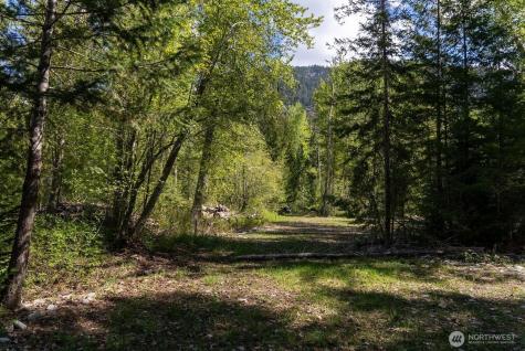 98 Cassel Way Mazama WA 98833
