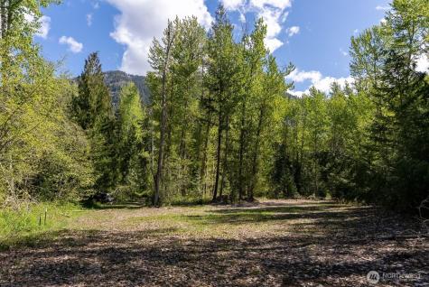 98 Cassel Way Mazama WA 98833