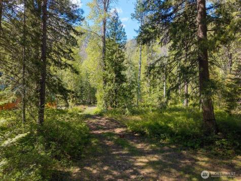 98 Cassel Way Mazama WA 98833
