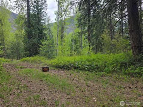 98 Cassel Way Mazama WA 98833