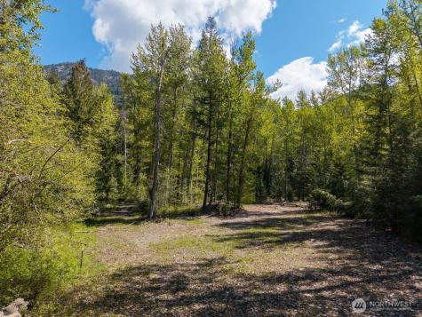 98 Cassel Way Mazama WA 98833