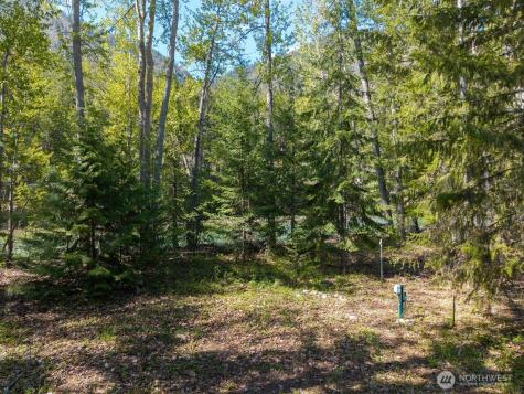98 Cassel Way Mazama WA 98833