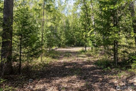 98 Cassel Way Mazama WA 98833