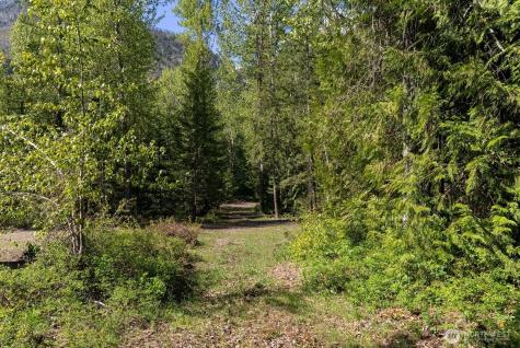 98 Cassel Way Mazama WA 98833