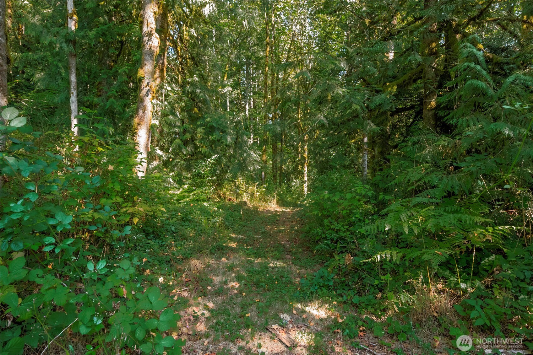 9305 312th Avenue SE Issaquah WA 98027