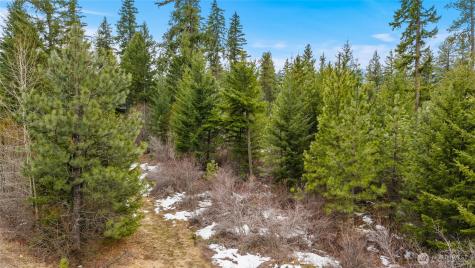 4613 Swiftwater Drive Cle Elum WA 98922
