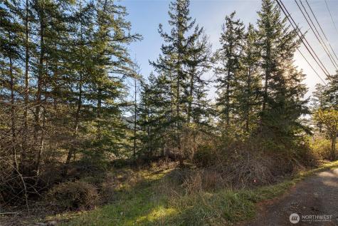 0 Cliffhouse Court Orcas Island WA 98245