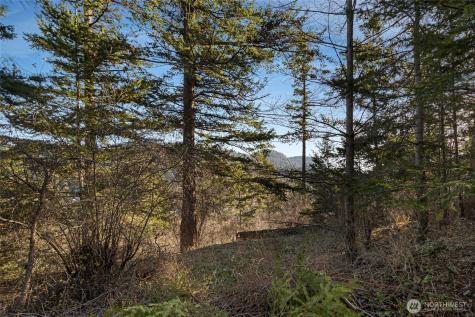 0 Cliffhouse Court Orcas Island WA 98245