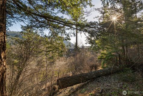 0 Cliffhouse Court Orcas Island WA 98245
