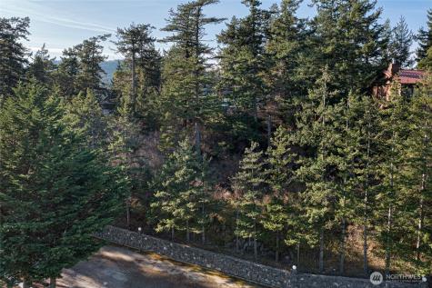 0 Cliffhouse Court Orcas Island WA 98245