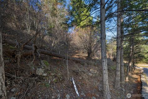 0 Cliffhouse Court Orcas Island WA 98245
