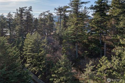0 Cliffhouse Court Orcas Island WA 98245