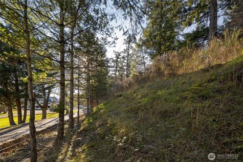 0 Cliffhouse Court Orcas Island WA 98245