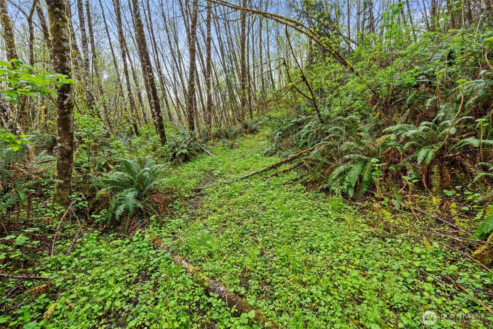 0 State Route 107 Highway Montesano WA 98563