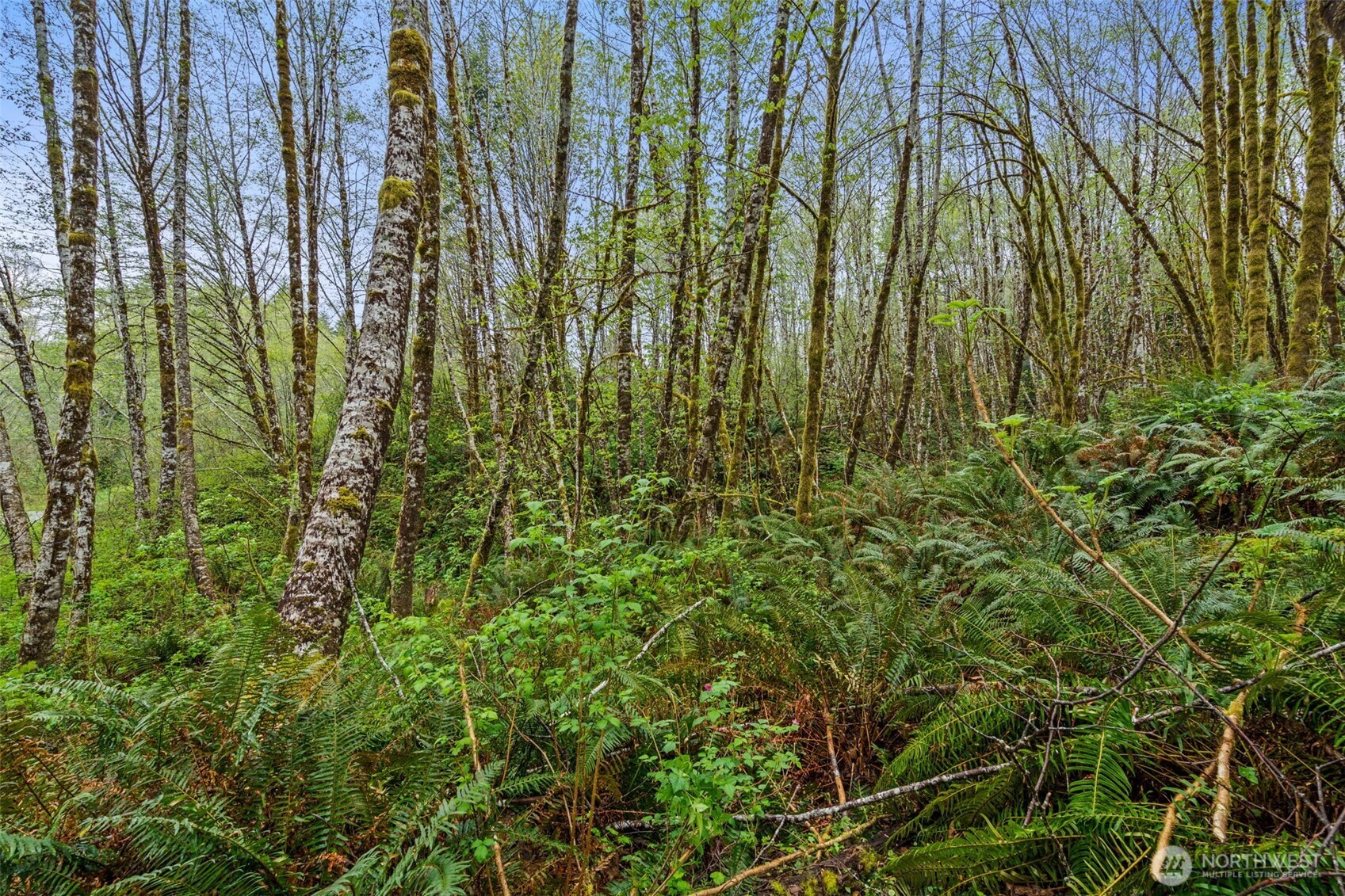 0 State Route 107 Highway Montesano WA 98563