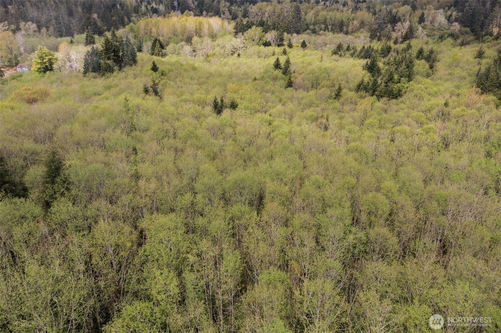 0 State Route 107 Highway Montesano WA 98563