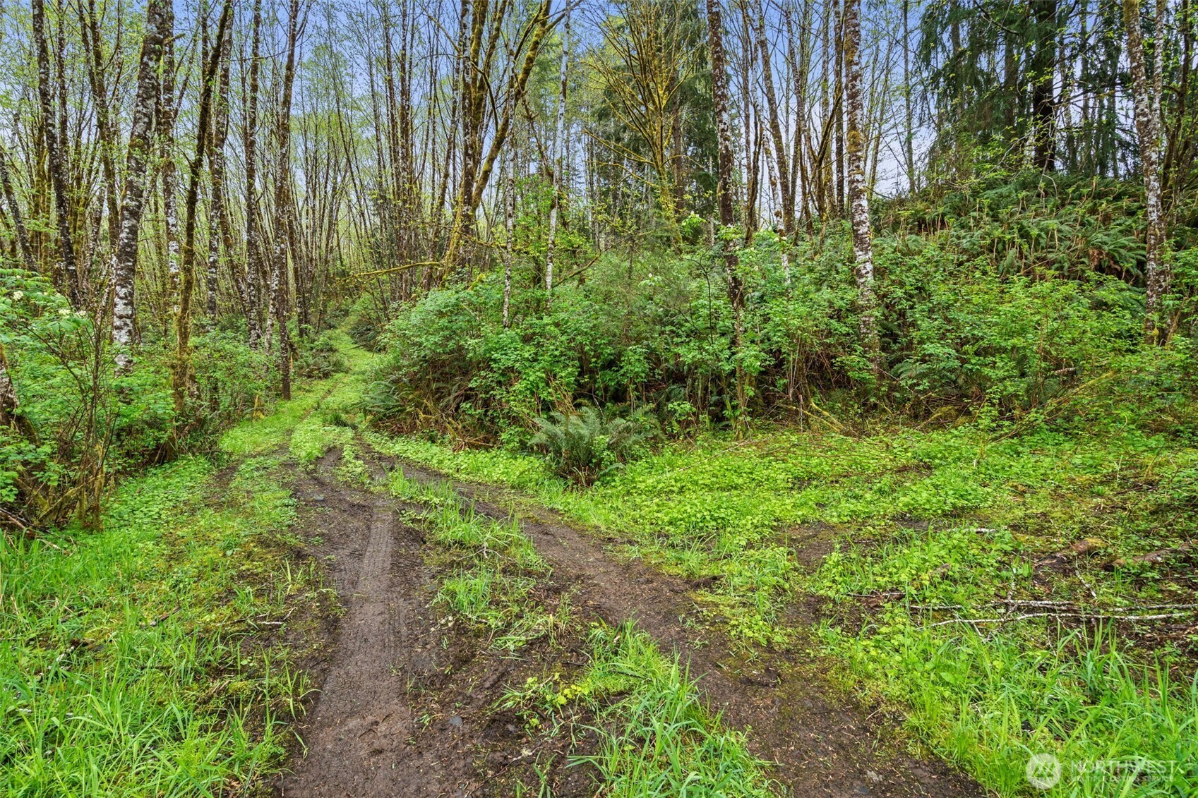 0 State Route 107 Highway Montesano WA 98563