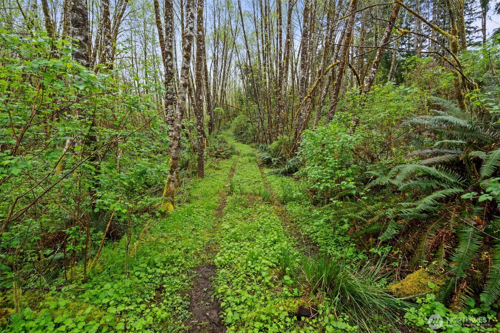 0 State Route 107 Highway Montesano WA 98563
