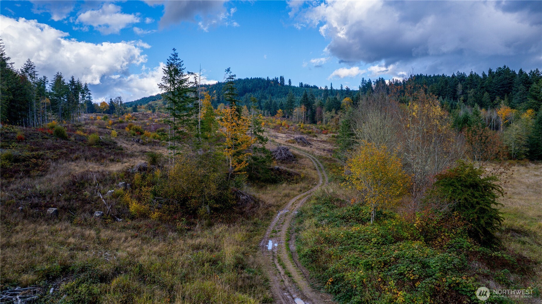 17942 Northcraft Road SE Tenino WA 98589