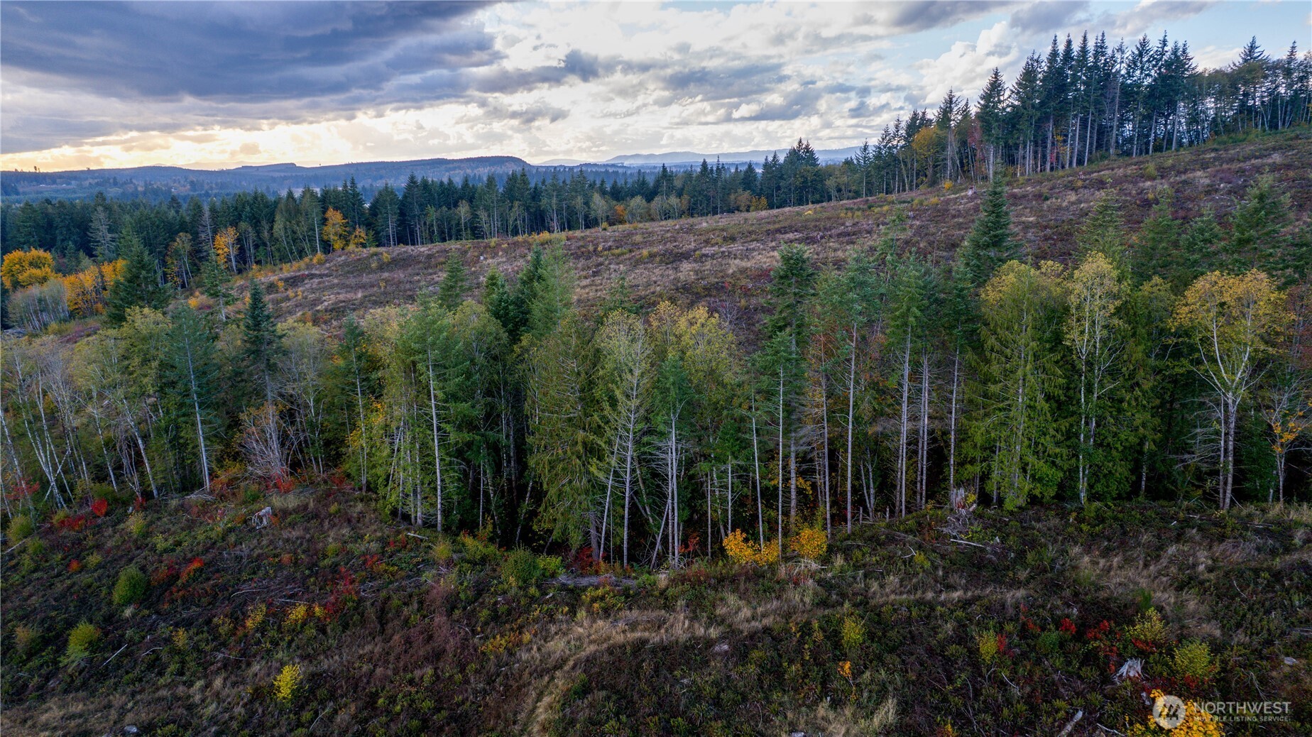 17942 Northcraft Road SE Tenino WA 98589