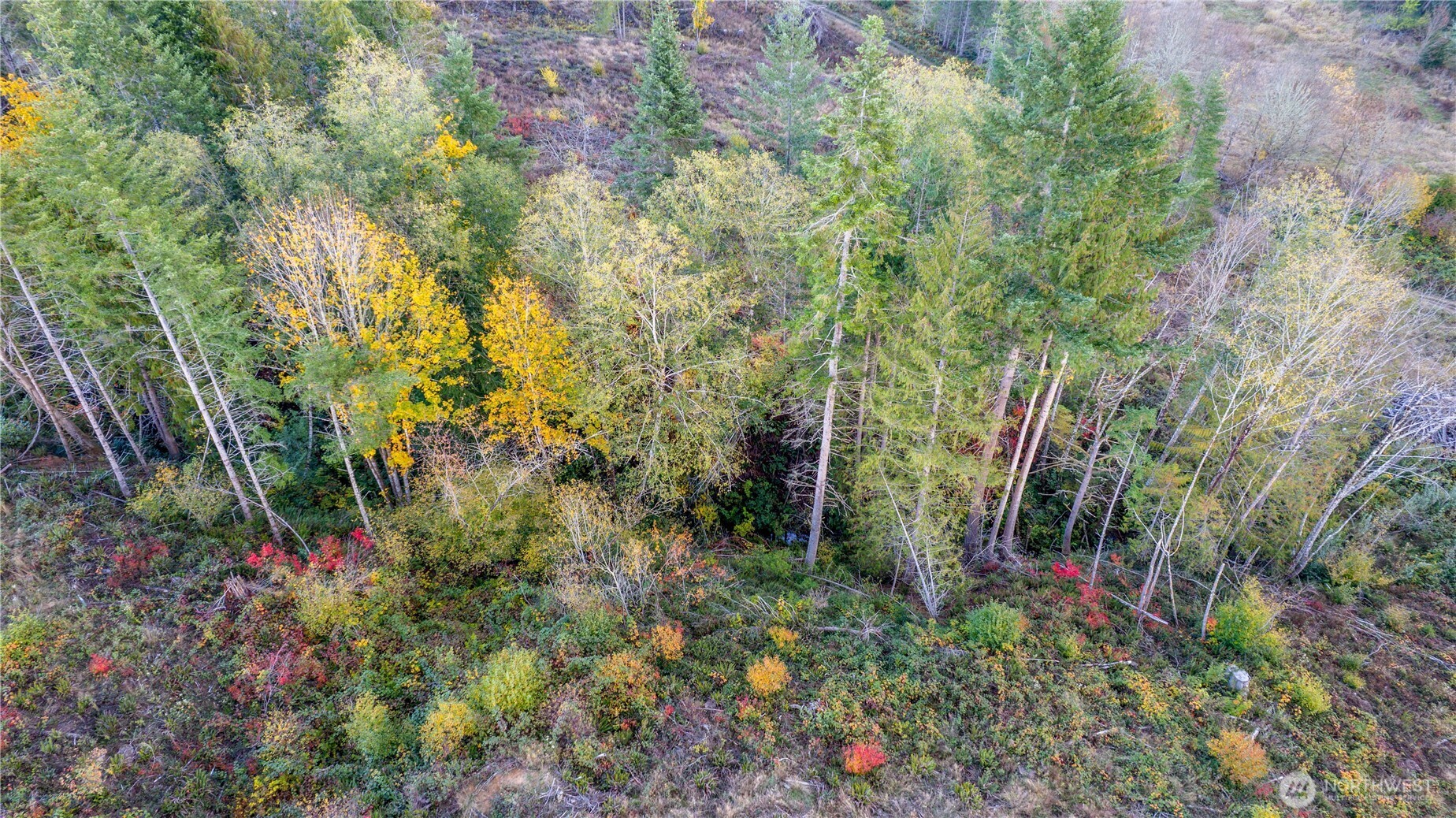17942 Northcraft Road SE Tenino WA 98589