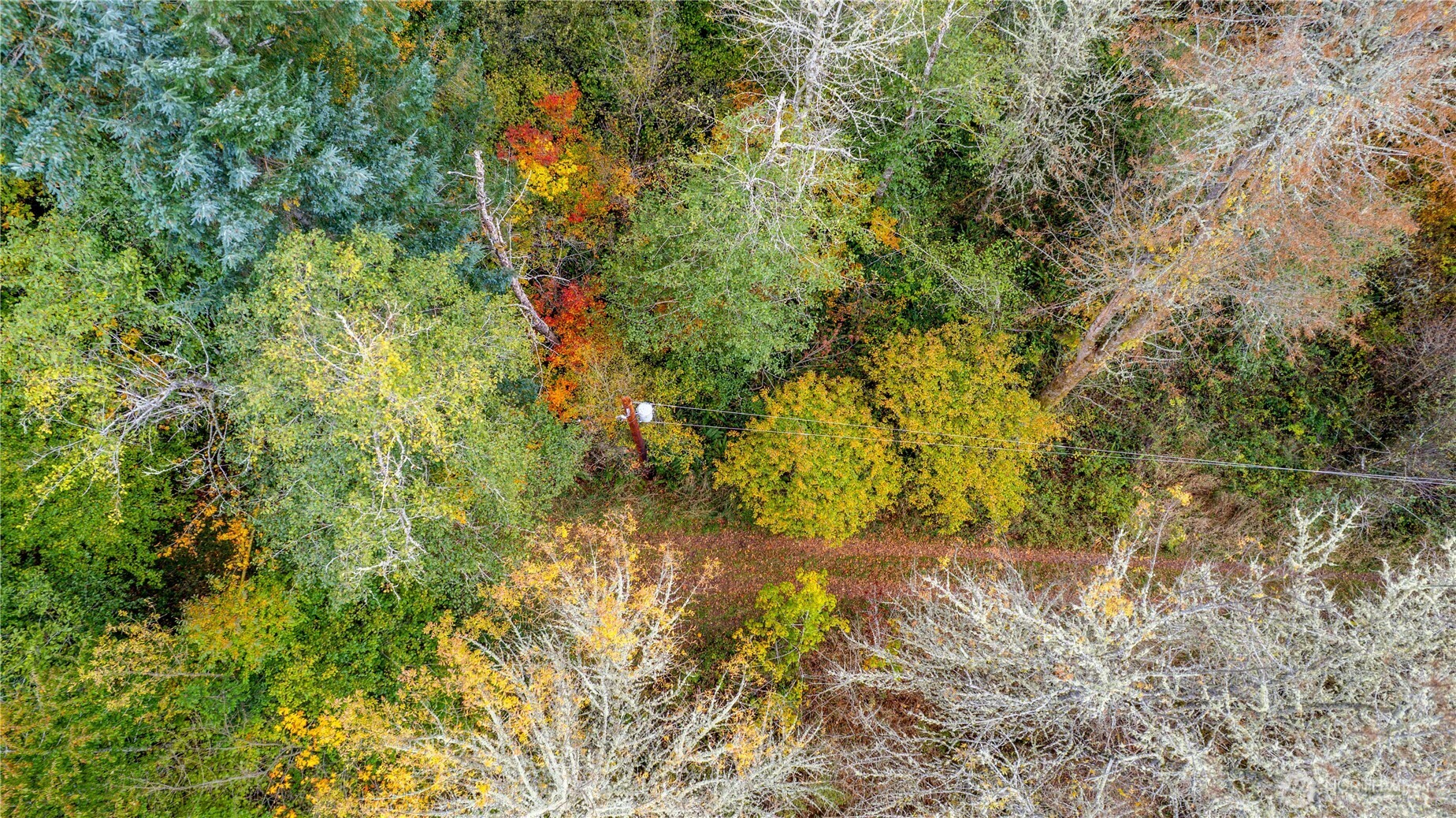 17942 Northcraft Road SE Tenino WA 98589