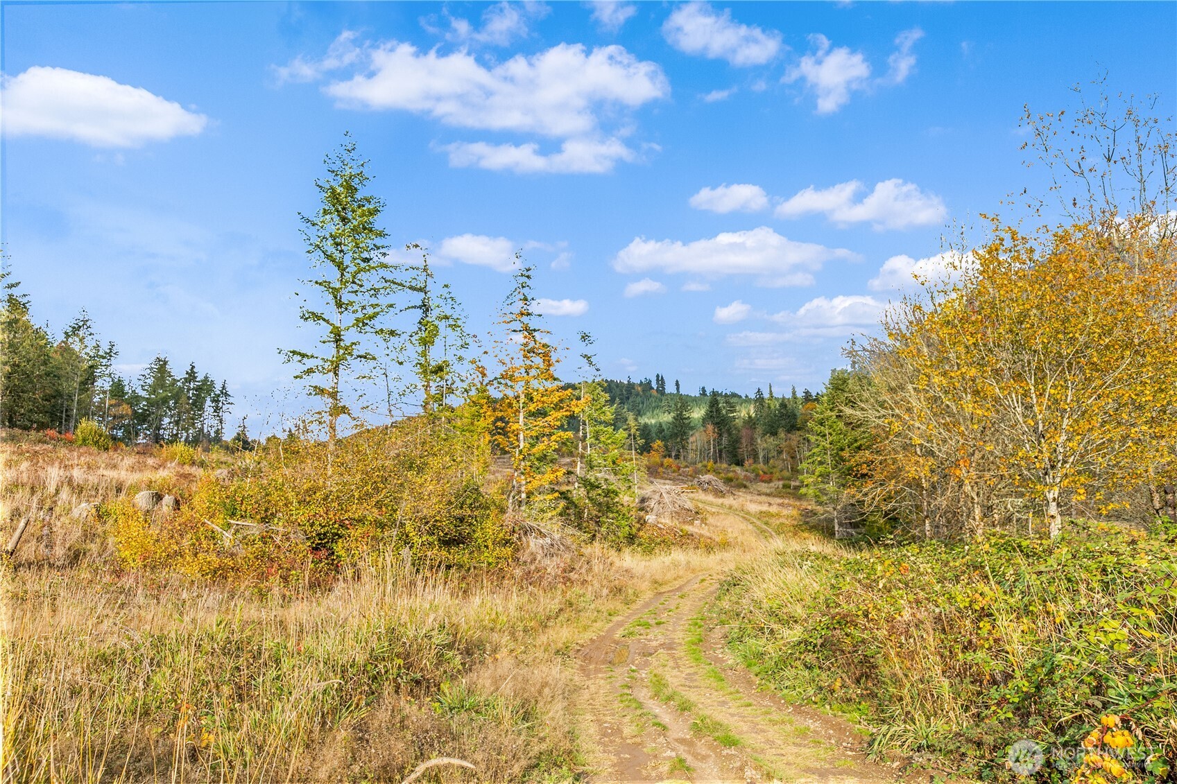 17942 Northcraft Road SE Tenino WA 98589