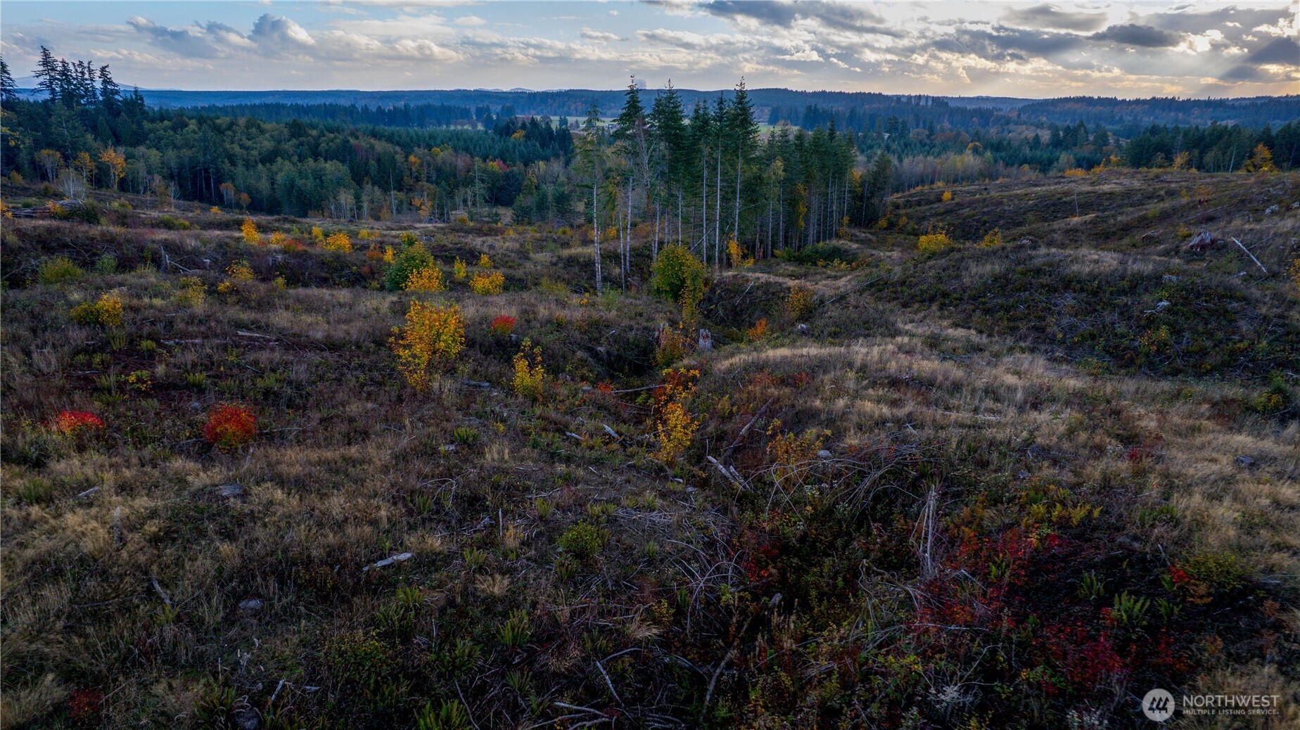 17942 Northcraft Road SE Tenino WA 98589
