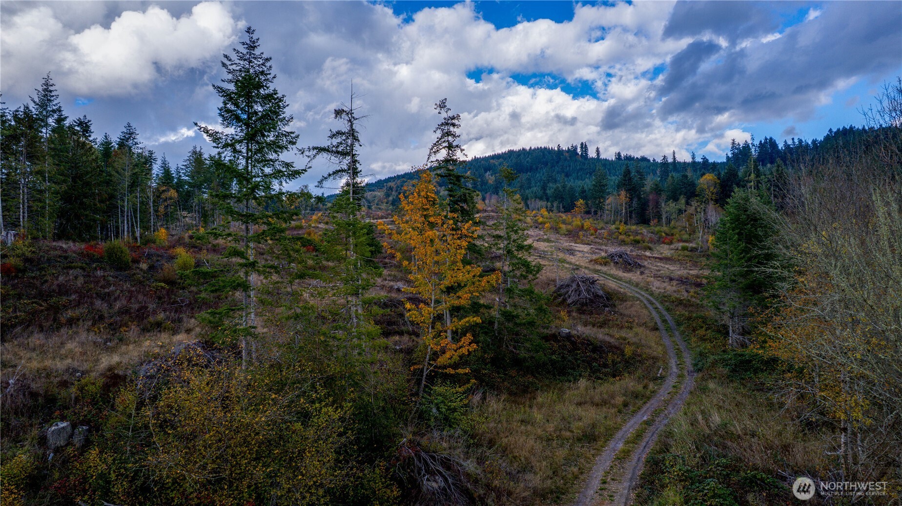 17942 Northcraft Road SE Tenino WA 98589
