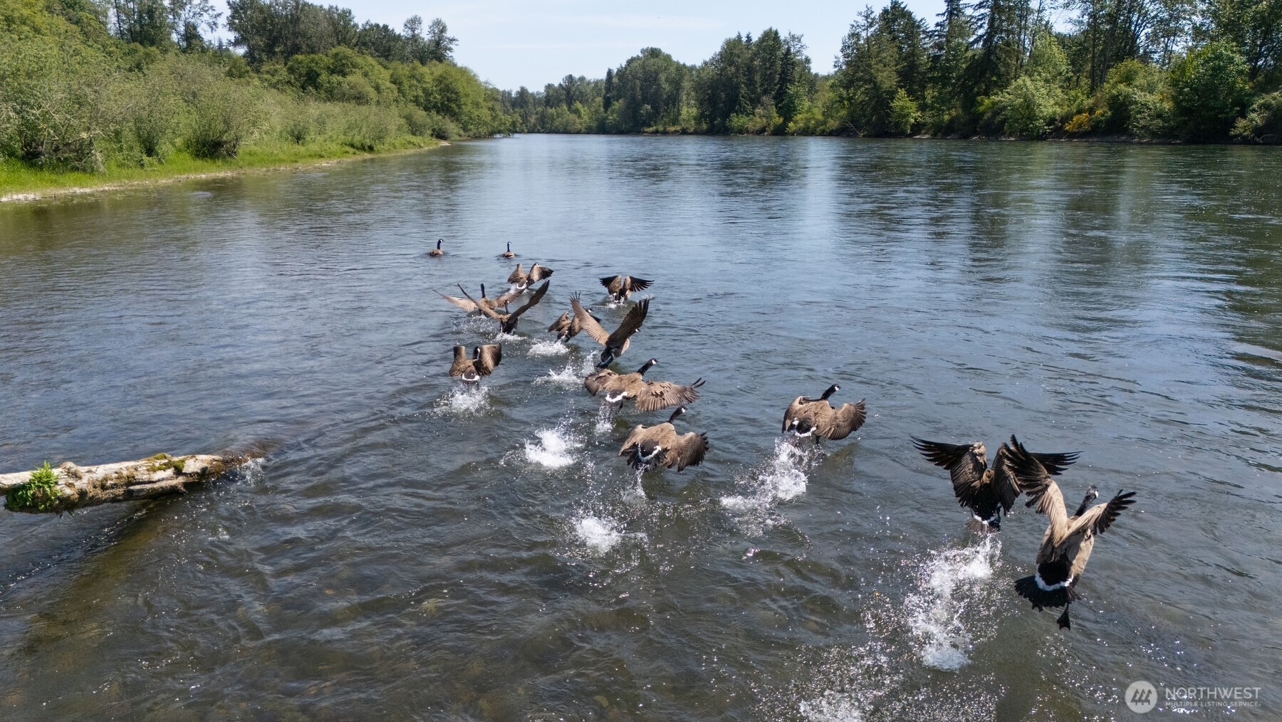 231 Middlecrest Drive Toledo WA 98591