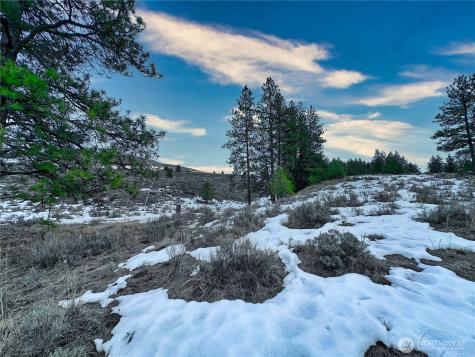 1111 White Tail Lane Tonasket WA 98855