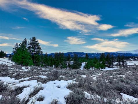 1111 White Tail Lane Tonasket WA 98855