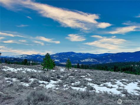 1111 White Tail Lane Tonasket WA 98855