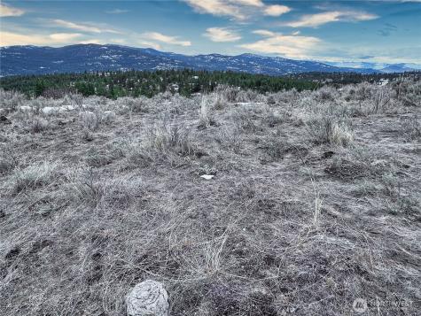 1111 White Tail Lane Tonasket WA 98855