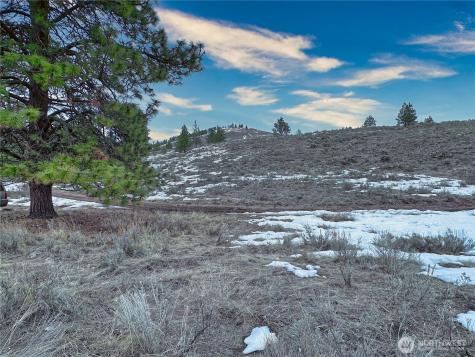 1111 White Tail Lane Tonasket WA 98855
